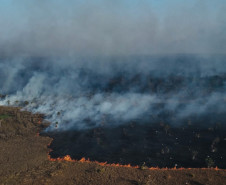 "A febre da mata", 2022. 10'09". Takumã Kuikuro.