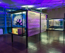 Obra exposta