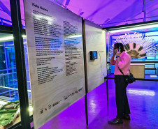 Obra exposta