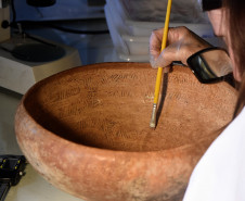 Laboratório do Museu Paranaense