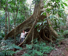 Arqueóloga do Museu Paranaense participa de Fórum Municipal de Turismo em Campo Mourão