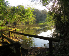 Arqueóloga do Museu Paranaense participa de Fórum Municipal de Turismo em Campo Mourão