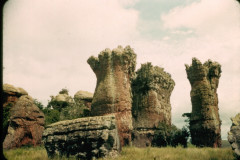 O campo ampliado da arquitetura no acervo do MUPA