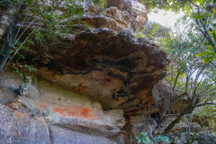 Cervos, araucárias e humanos: a pré-história do Paraná está nas paredes de Piraí do Sul