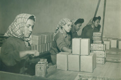 Exposição As Histórias das Mulheres a partir do Acervo do Museu Paranaense - Eixo Trabalho