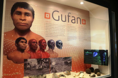 Exposição "Gufan – o Paranaense de dois mil anos” no Museu Paranaense