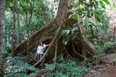 Arqueóloga do Museu Paranaense participa de Fórum Municipal de Turismo em Campo Mourão