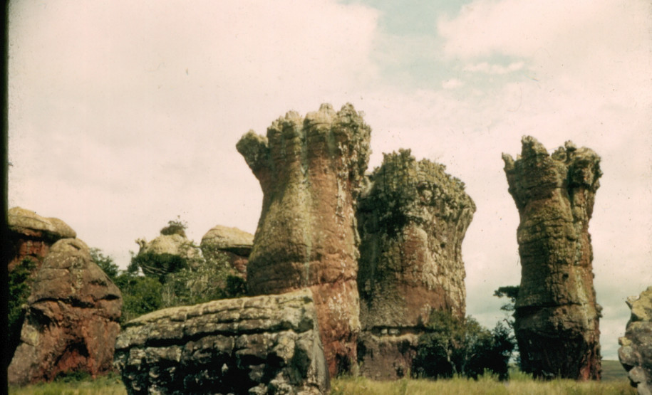 O campo ampliado da arquitetura no acervo do MUPA