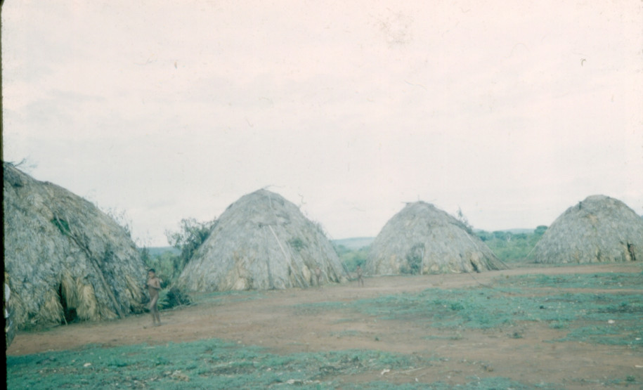 O campo ampliado da arquitetura no acervo do MUPA