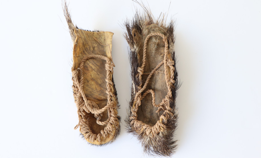 segundo ciclo de arquitetura do mupa