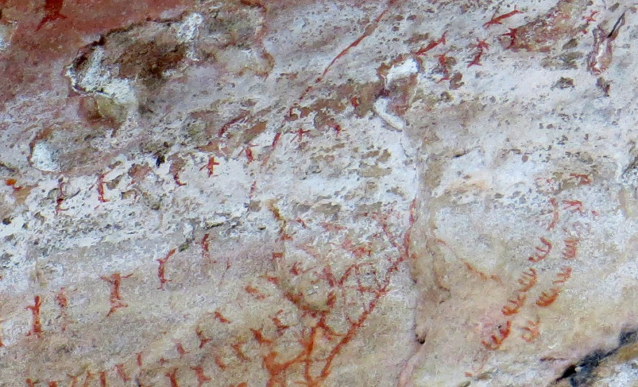 segundo ciclo de arquitetura do mupa