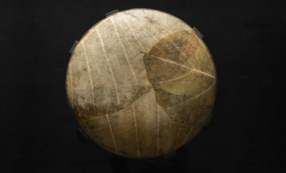 segundo ciclo de arquitetura do mupa