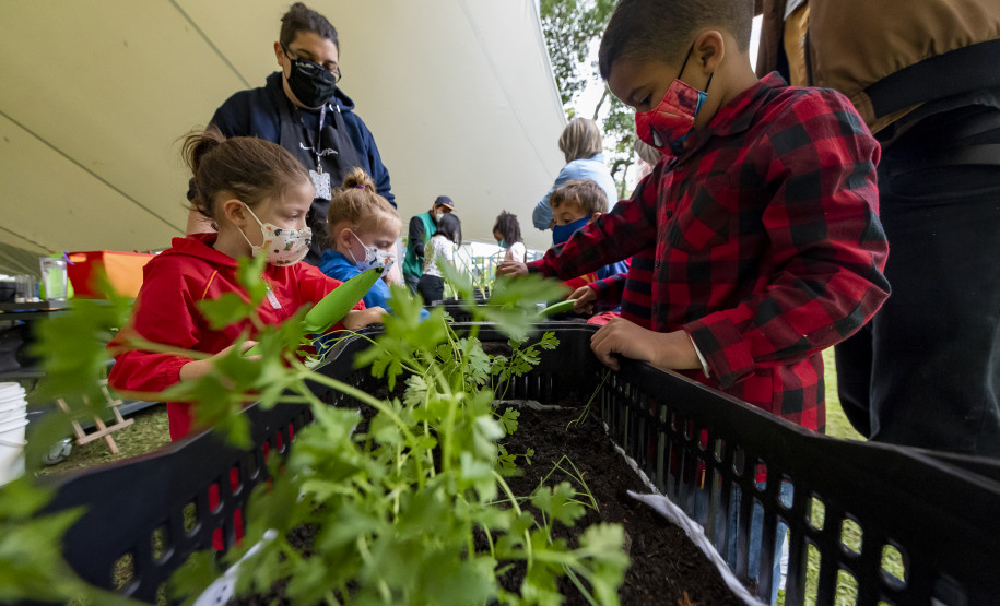 Oficina "Plantar o Amanhã: fazendo uma horta no museu" | Programa Público "Se enfiasse os pés na terra: relações entre humanos e plantas"