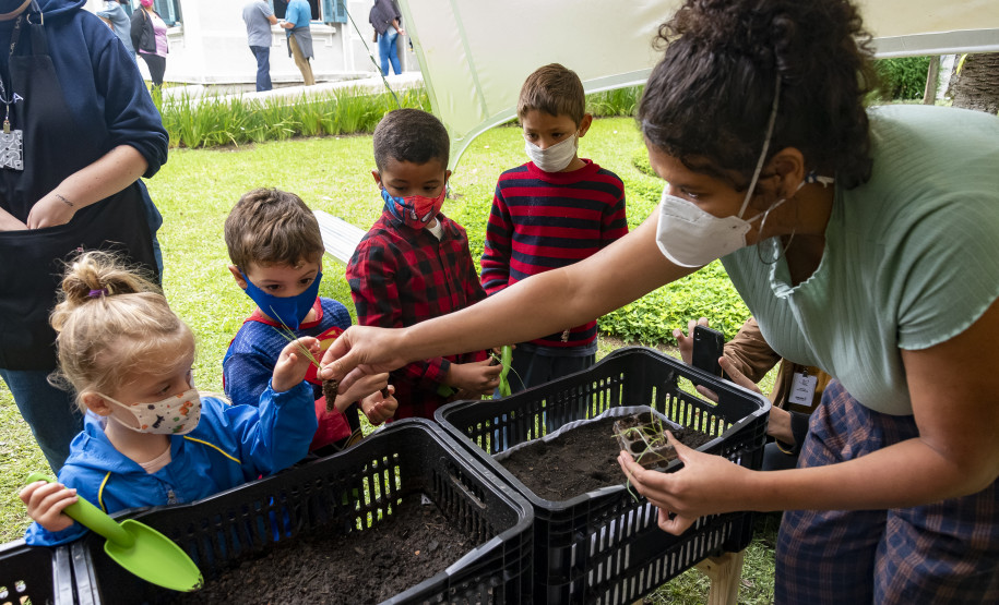 Oficina "Plantar o Amanhã: fazendo uma horta no museu" | Programa Público "Se enfiasse os pés na terra: relações entre humanos e plantas"