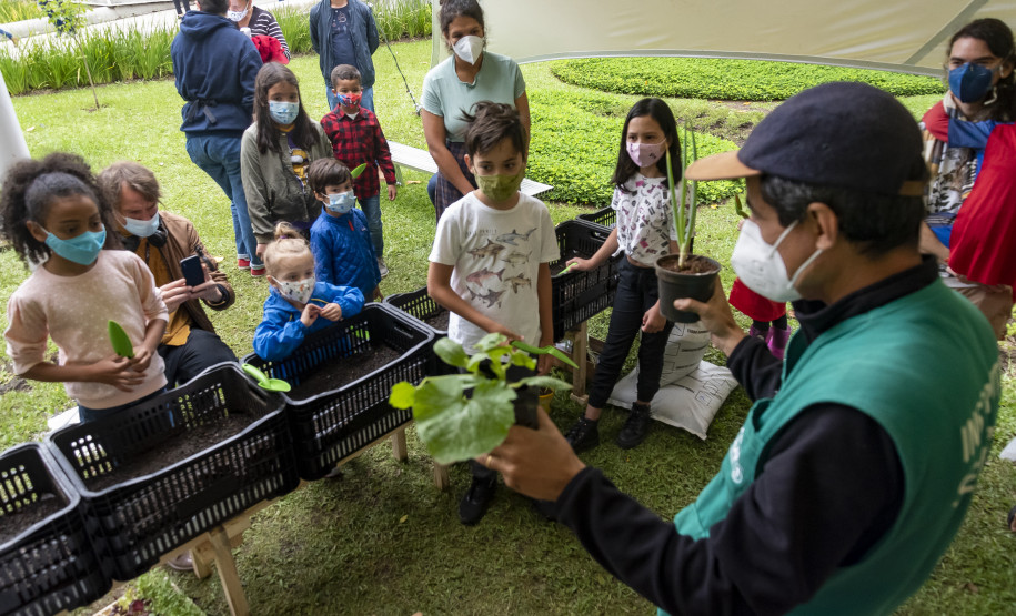 Oficina "Plantar o Amanhã: fazendo uma horta no museu" | Programa Público "Se enfiasse os pés na terra: relações entre humanos e plantas"