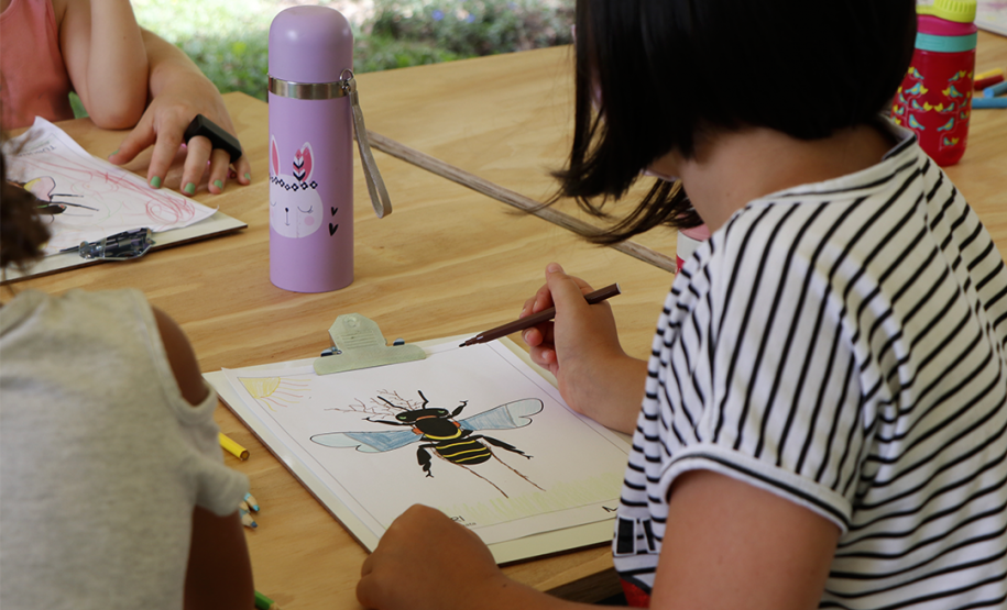 Oficina "Polinizando relações: abelhas e jardins" | Programa Público "Se enfiasse os pés na terra: relações entre humanos e plantas"