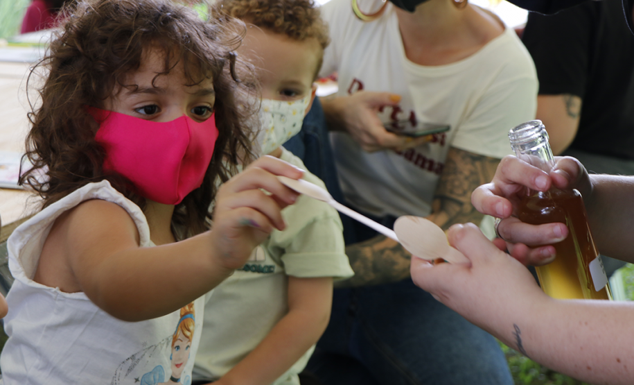 Oficina "Polinizando relações: abelhas e jardins" | Programa Público "Se enfiasse os pés na terra: relações entre humanos e plantas"