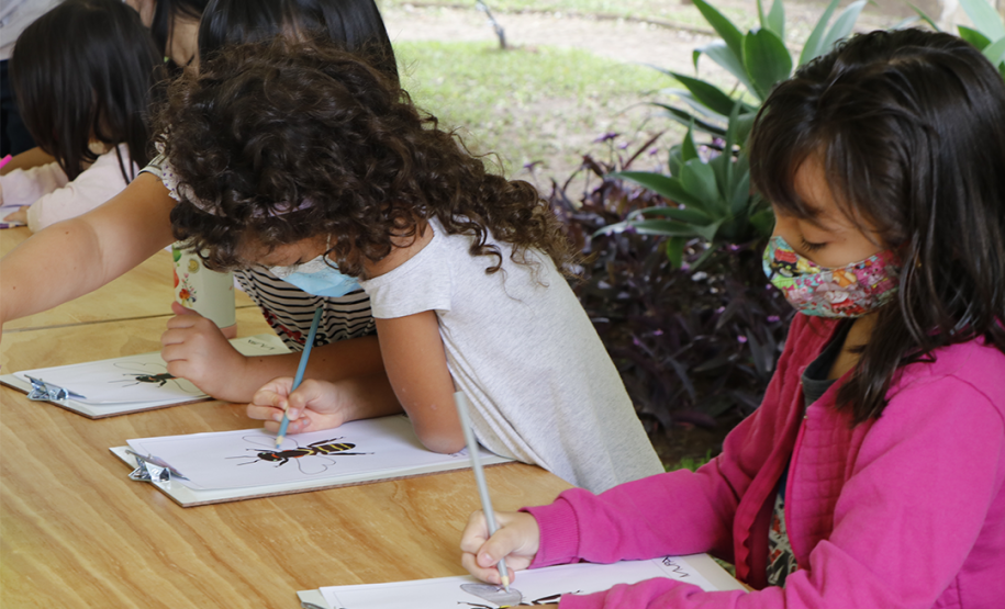 Oficina "Polinizando relações: abelhas e jardins" | Programa Público "Se enfiasse os pés na terra: relações entre humanos e plantas"