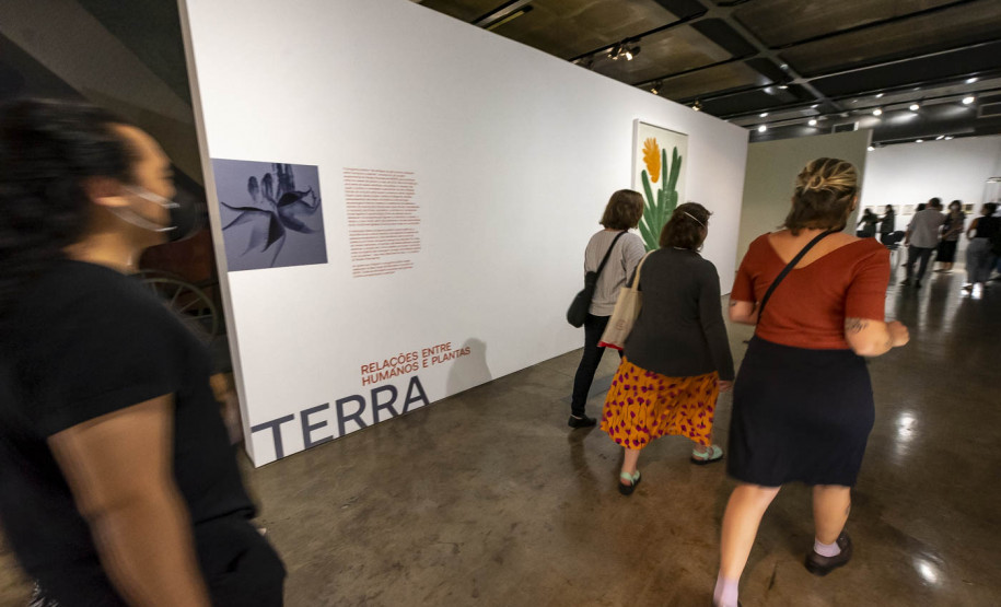 Noite das Ideias 2022: Re-construir Juntos | Programa Público "Se enfiasse os pés na terra: relações entre humanos e plantas"