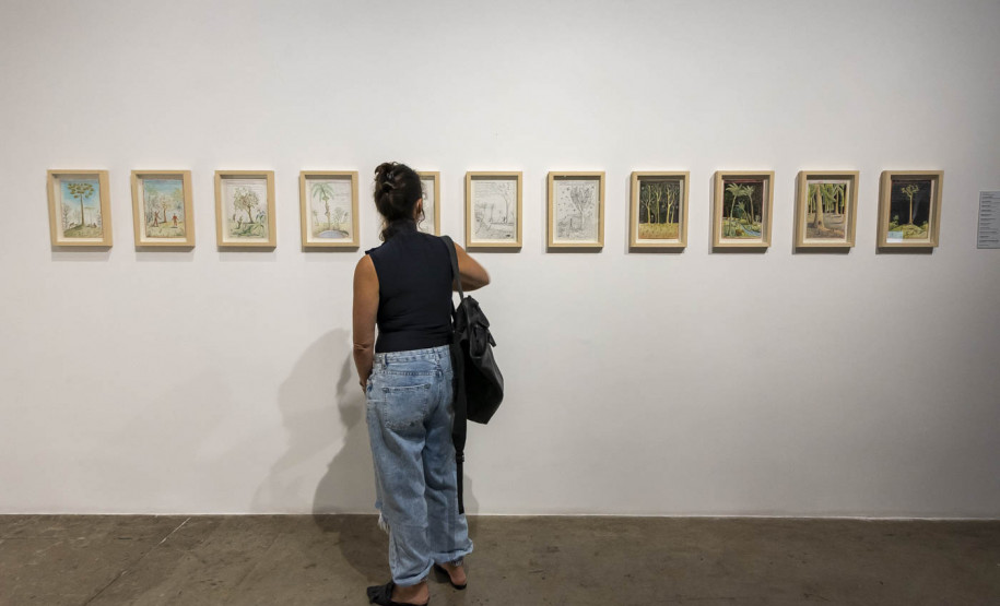 Noite das Ideias 2022: Re-construir Juntos | Programa Público "Se enfiasse os pés na terra: relações entre humanos e plantas"