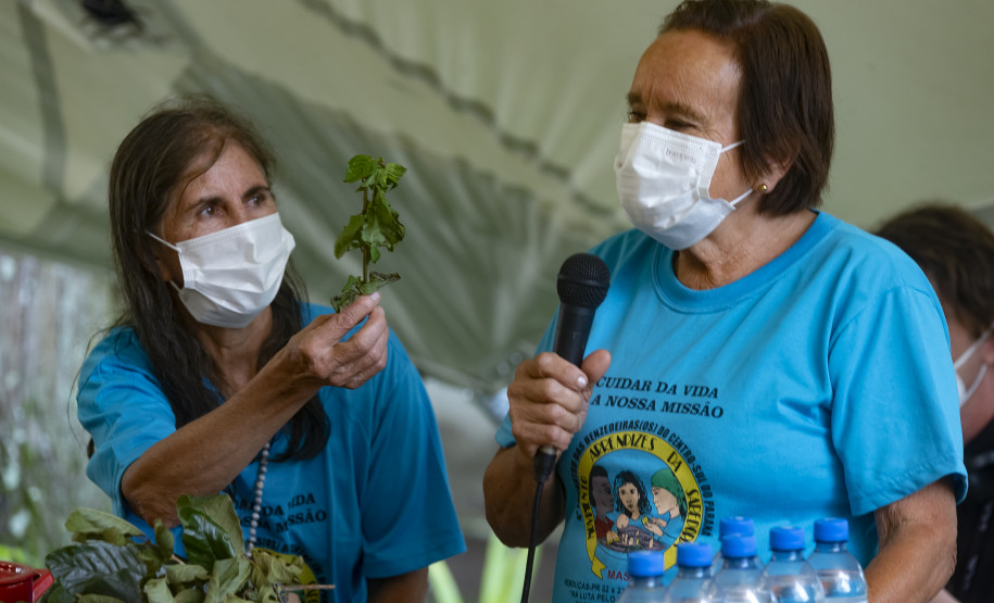 Oficina "Plantas e modos de benzimento"
