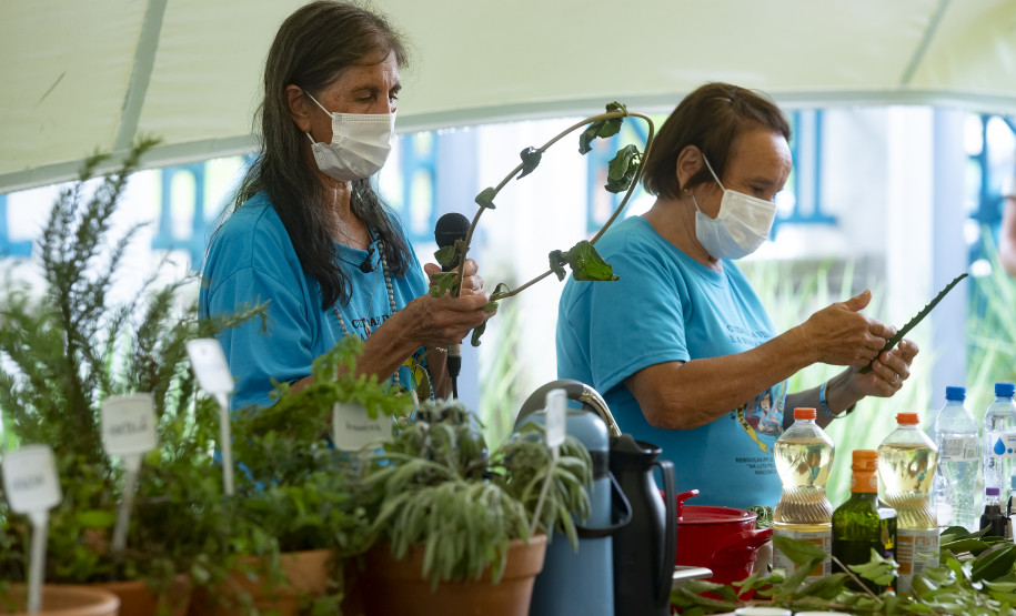 Oficina "Plantas e modos de benzimento"