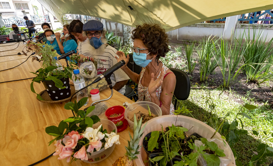 Roda de conversa "Plantas, cuidado e cura"