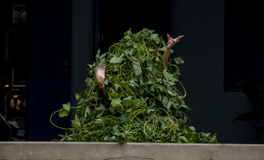 Performance POLVO com Bia Figueiredo