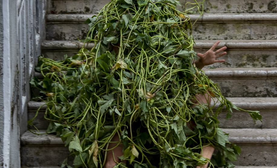 Performance POLVO com Bia Figueiredo