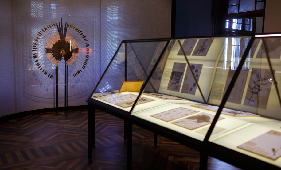 Vista da exposição Ephemera/Perpétua