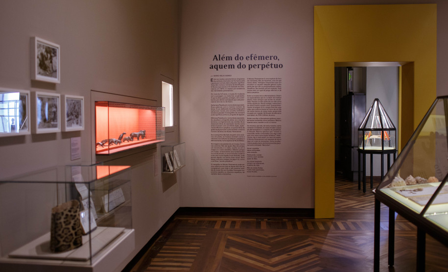 Vista da exposição Ephemera/Perpétua