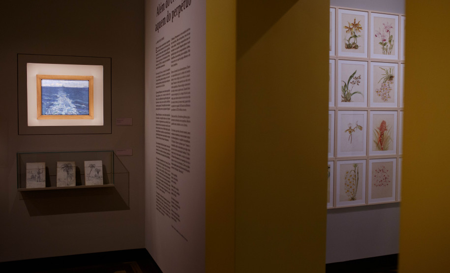 Vista da exposição Ephemera/Perpétua