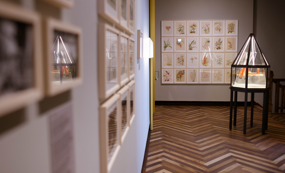 Vista da exposição Ephemera/Perpétua