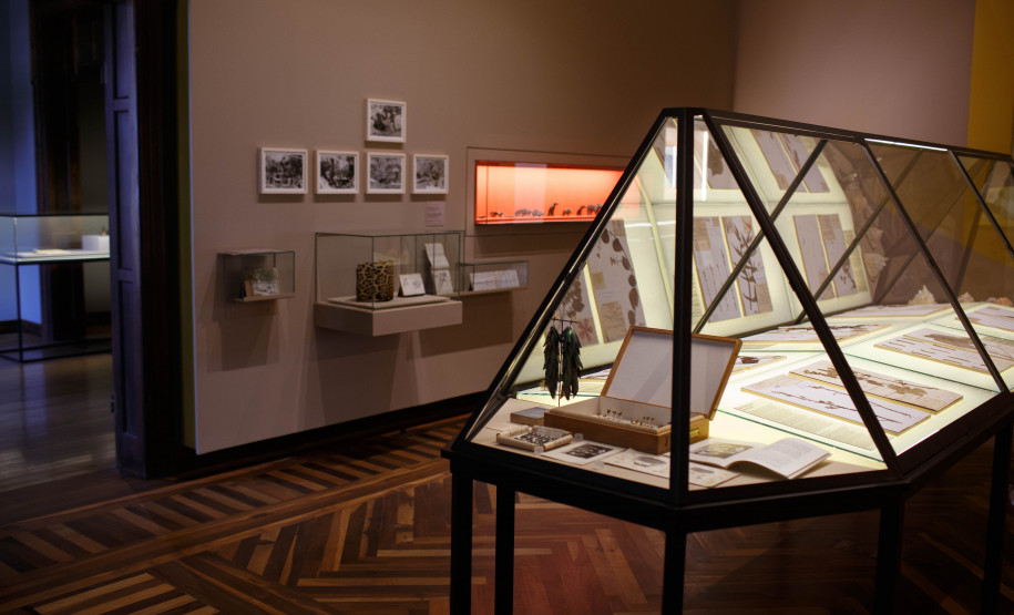 Vista da exposição Ephemera/Perpétua