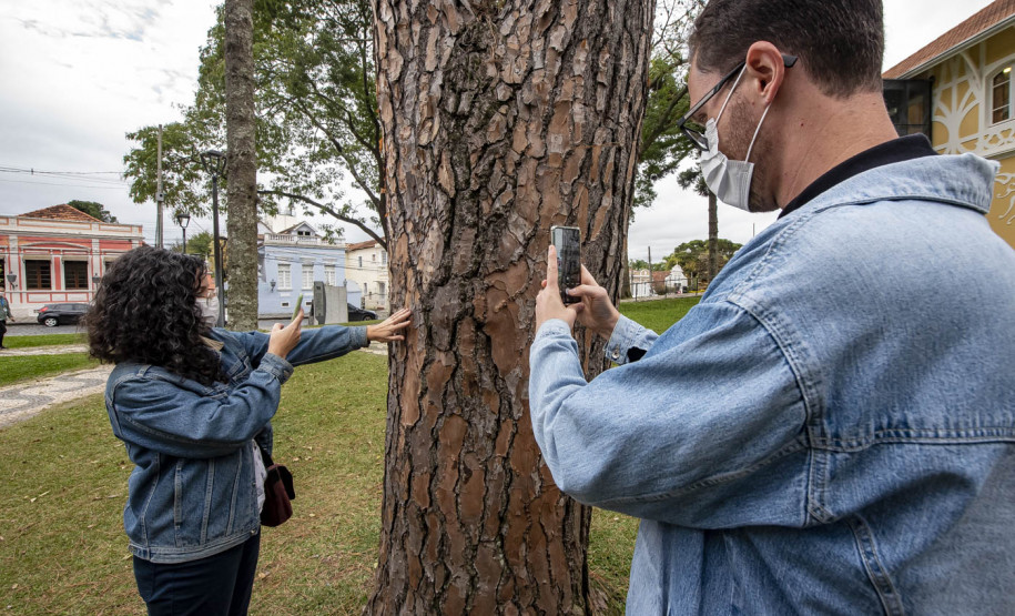 Palestra "Espaços públicos e arborização: planejando um futuro urbano mais verde" e Caminhada exploratória