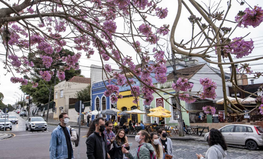 Palestra "Espaços públicos e arborização: planejando um futuro urbano mais verde" e Caminhada exploratória