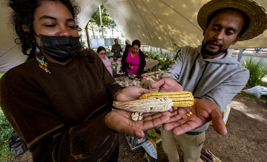 Feira de sementes quilombolas