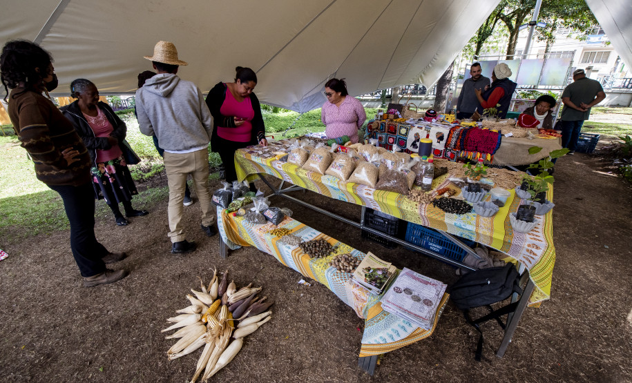 Feira de sementes quilombolas