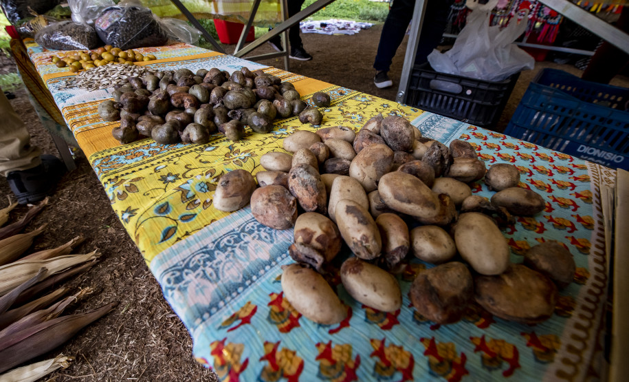 Feira de sementes quilombolas