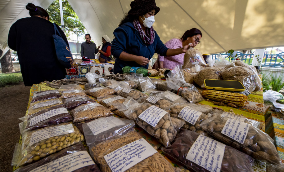 Feira de sementes quilombolas