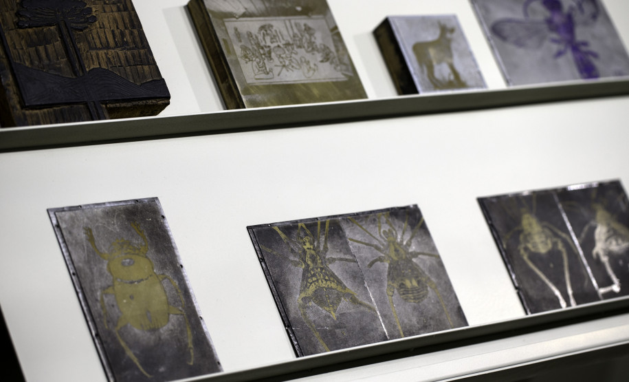 Vista da exposição