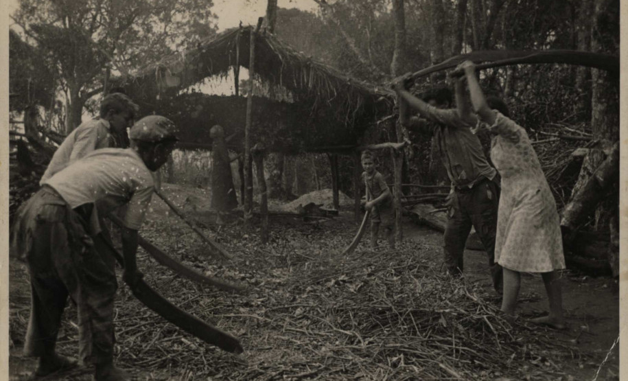 Vladimir Kozák. Serra do Mar - São José dos Pinhais/ Paraná. Sem título [Sapeco e trituração de erva-mate], s.d.⠀Fotografia. Acervo Vladimir Kozák.