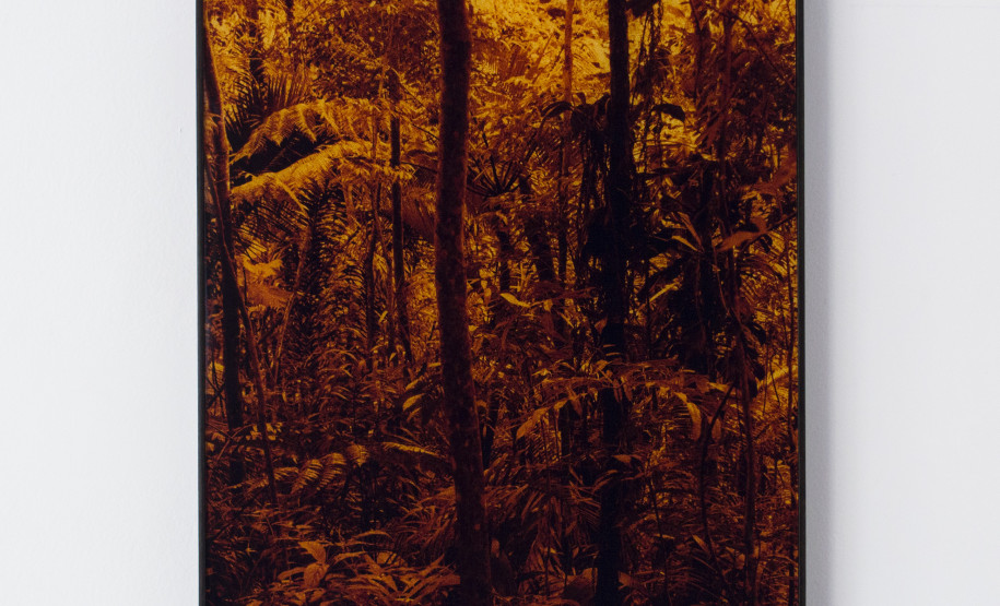 Caio Reisewitz. Tapeaba, 2013. C-print em metacrilato.⠀Acervo Museu Paranaense.