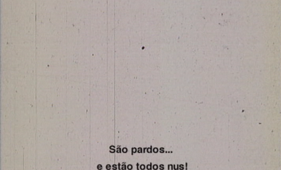 Obra Vera Cruz, 2000. Artista Rosângela Rennó