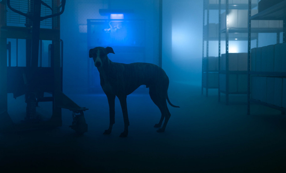 Com o tema “Interlúdio”, o conceito norteador deste ano tem fala sobre regimes de visibilidade e invisibilidade.