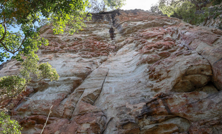 Cervos, araucárias e humanos: a pré-história do Paraná está nas paredes de Piraí do Sul
