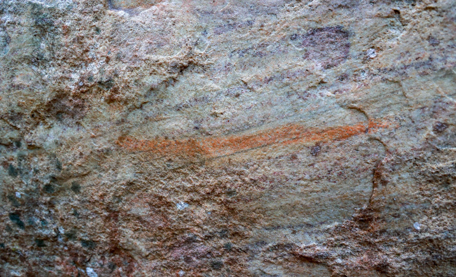 Cervos, araucárias e humanos: a pré-história do Paraná está nas paredes de Piraí do Sul