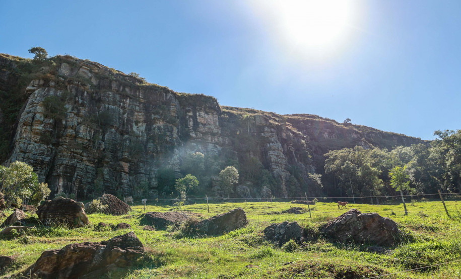 Cervos, araucárias e humanos: a pré-história do Paraná está nas paredes de Piraí do Sul