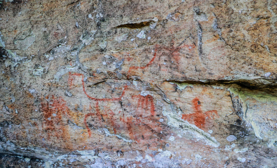 Cervos, araucárias e humanos: a pré-história do Paraná está nas paredes de Piraí do Sul
