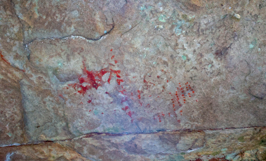 Cervos, araucárias e humanos: a pré-história do Paraná está nas paredes de Piraí do Sul